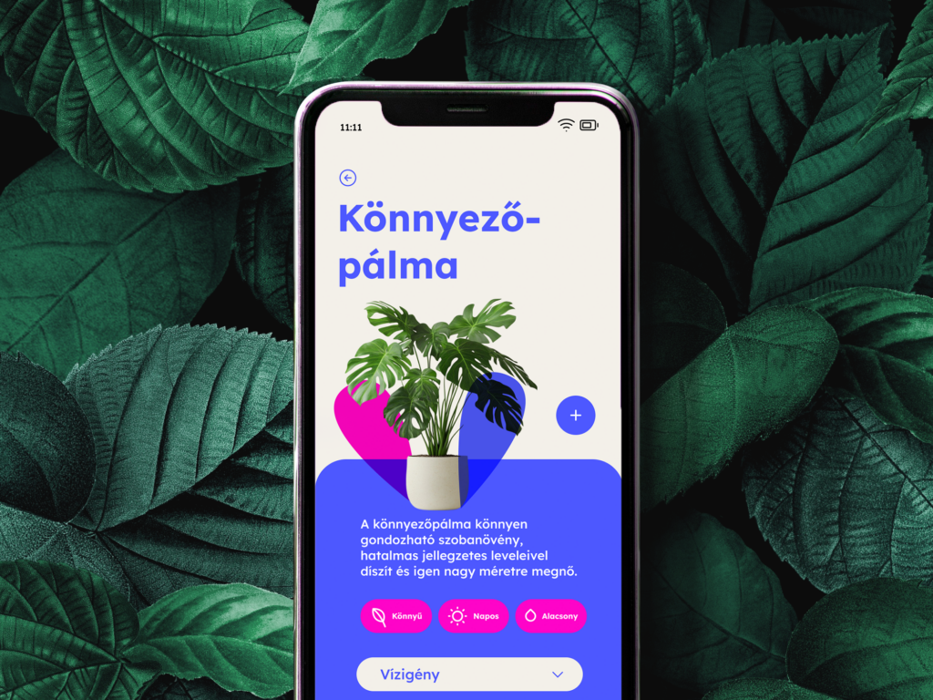apricatio app